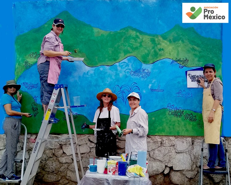 Desarrollo Comunitario Asociación Pro México-1