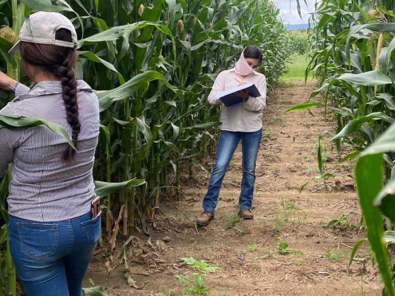 «Gracias a Pro México voy a cumplir uno de mis sueños más&nbsp;grandes…