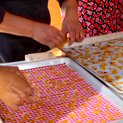 Economía-Solidaria-Asociación-Pro-México